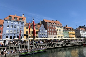 海滨沿岸的无栏杆式设计，在世界各地海滨城市非常普遍，例如丹麦哥本哈根、挪威奥斯陆。图示哥本哈根的海滨。