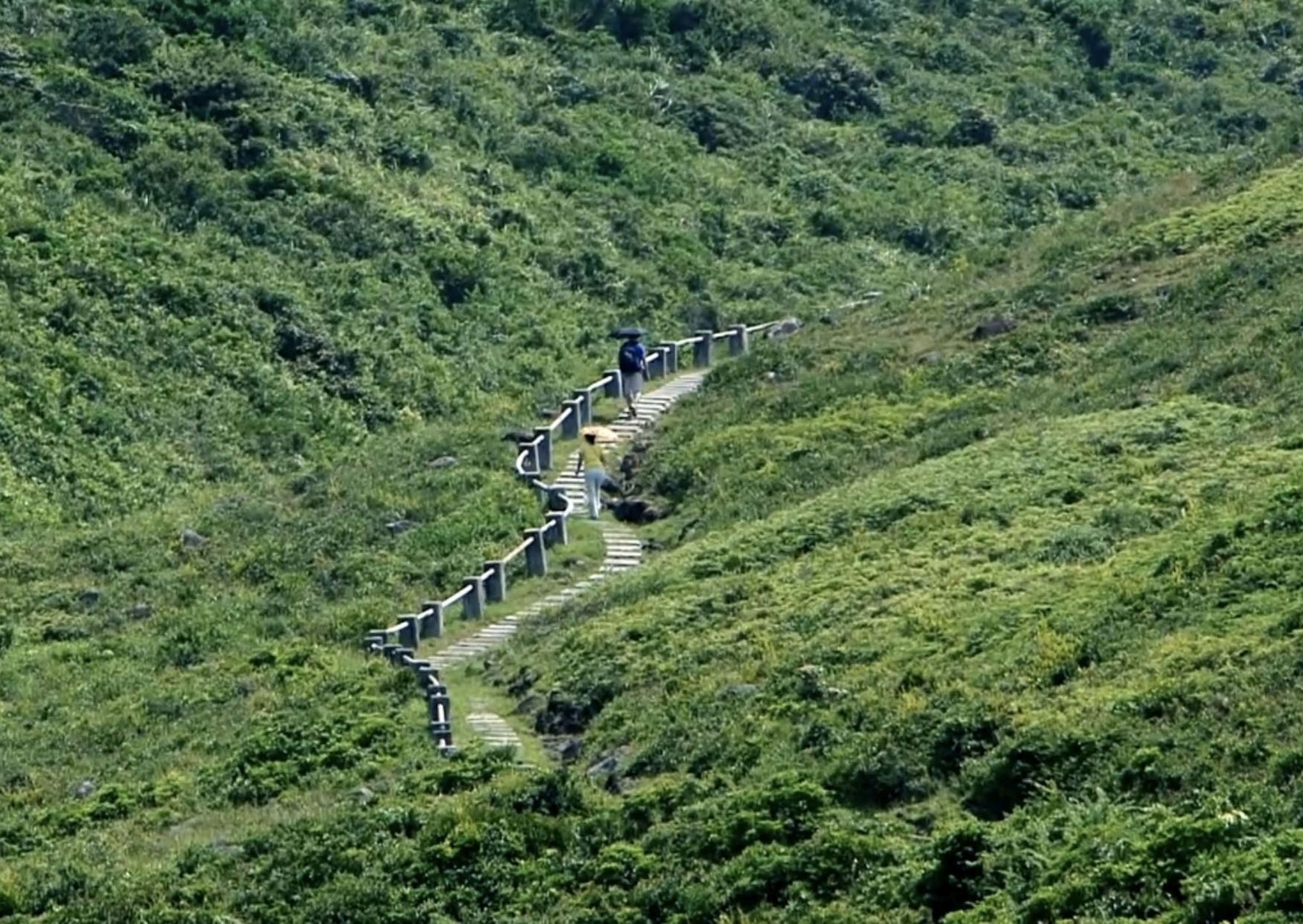 地政总署正在优化三维行人道路网，并由现时的市区范围伸延至乡郊地区和郊野公园行山径。