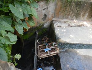 渠务署前线同事在雨水进水口及街道的集水沟清出大量杂物。