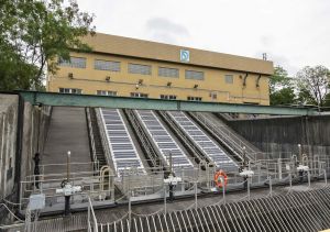 渠务署早前举行新田雨水泵房开放日，并特别介绍设置于新田蓄洪池的浮式太阳能发电系统及生态浮岛。