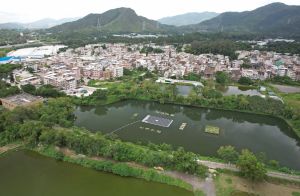 新田乡村防洪计划的蓄洪池，池面面积约16 400平方米，提供了合适的场地作为部门首个浮式太阳能发电系统的试点。