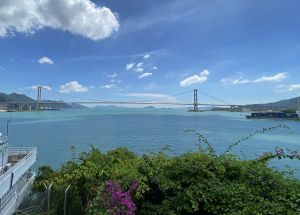 临海单车径沿途风景优美，可眺望汀九桥、青马大桥等景色。