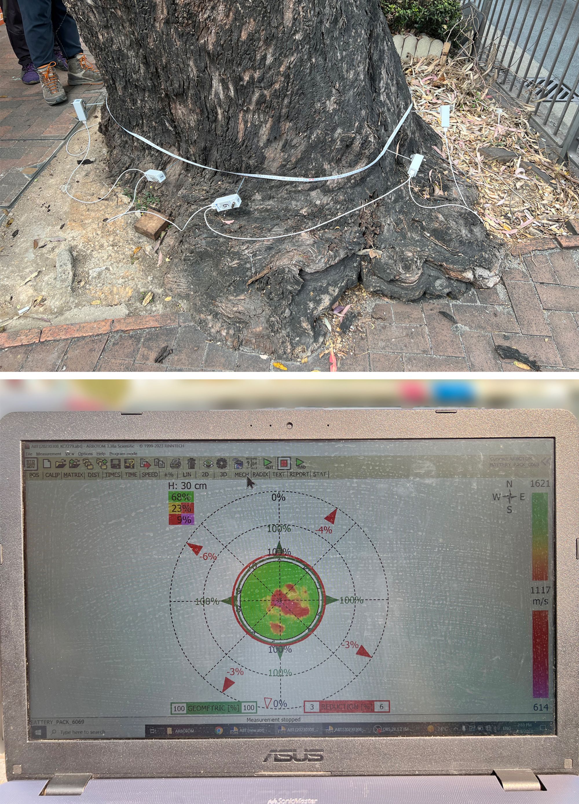 检查人员正利用声波断层扫描仪检查树木内部结构。
