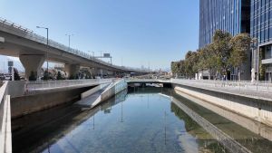 翠屏河河道栽种植物和设置生态装置，为河道生态创造有利条件，吸引更多物种栖息。图示鸟杆、岩石池和生态墙。