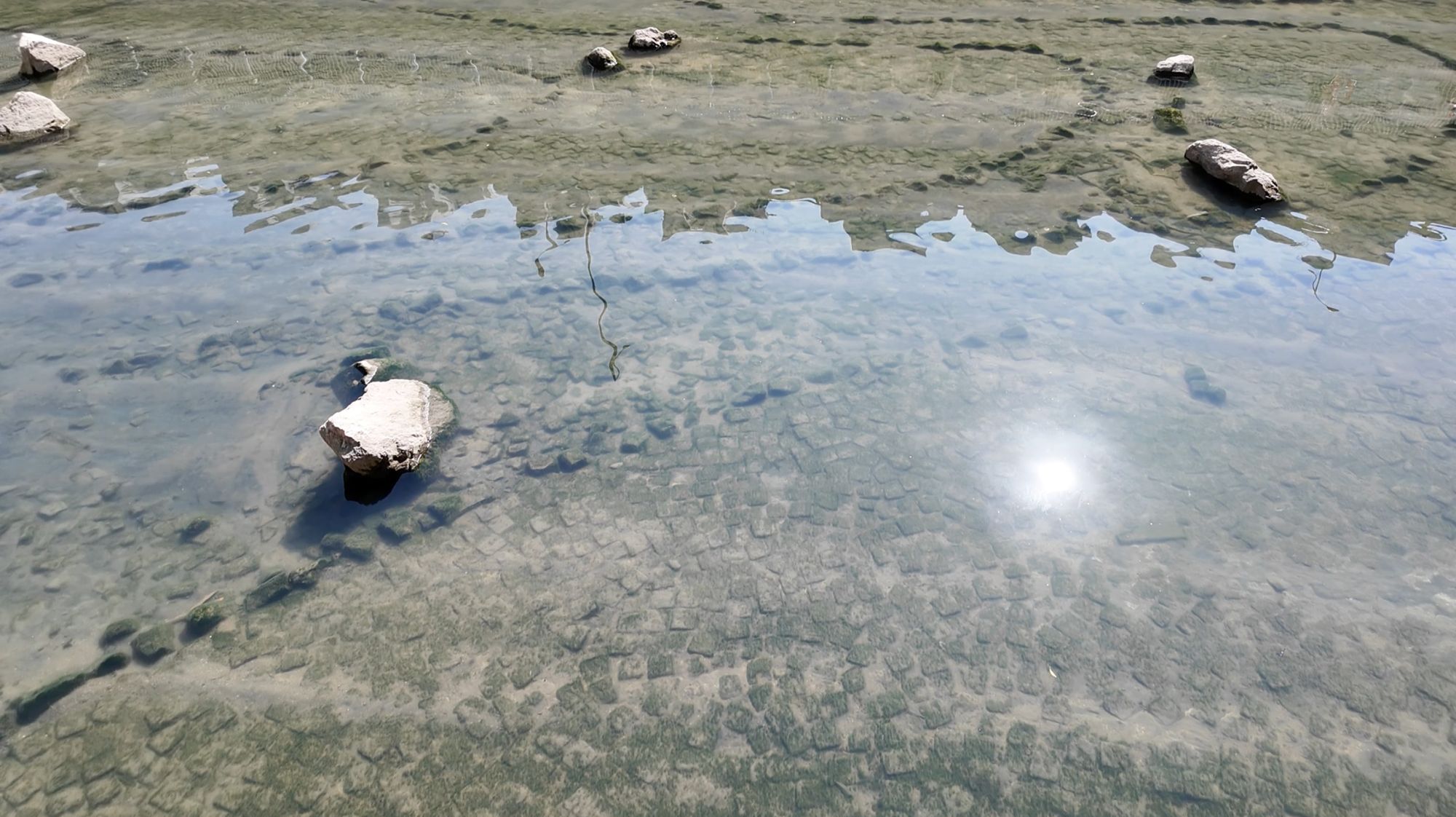 翠屏河河道栽种植物和设置生态装置，为河道生态创造有利条件，吸引更多物种栖息。图示鸟杆、岩石池和生态墙。