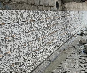 翠屏河河道栽种植物和设置生态装置，为河道生态创造有利条件，吸引更多物种栖息。图示鸟杆、岩石池和生态墙。