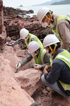 古迹办、古脊椎所及渔护署在赤洲发掘恐龙化石。