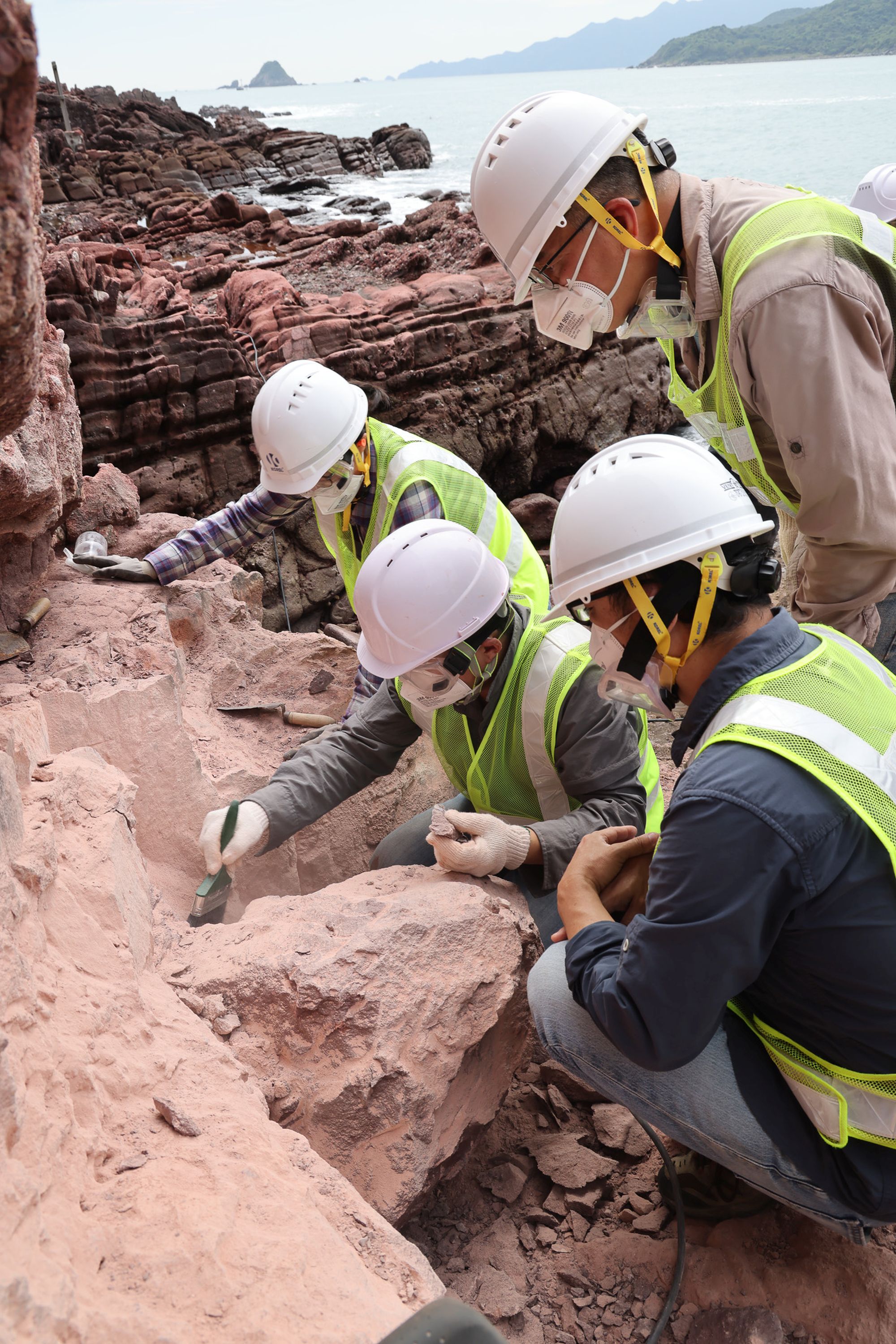 古迹办、古脊椎所及渔护署在赤洲发掘恐龙化石。