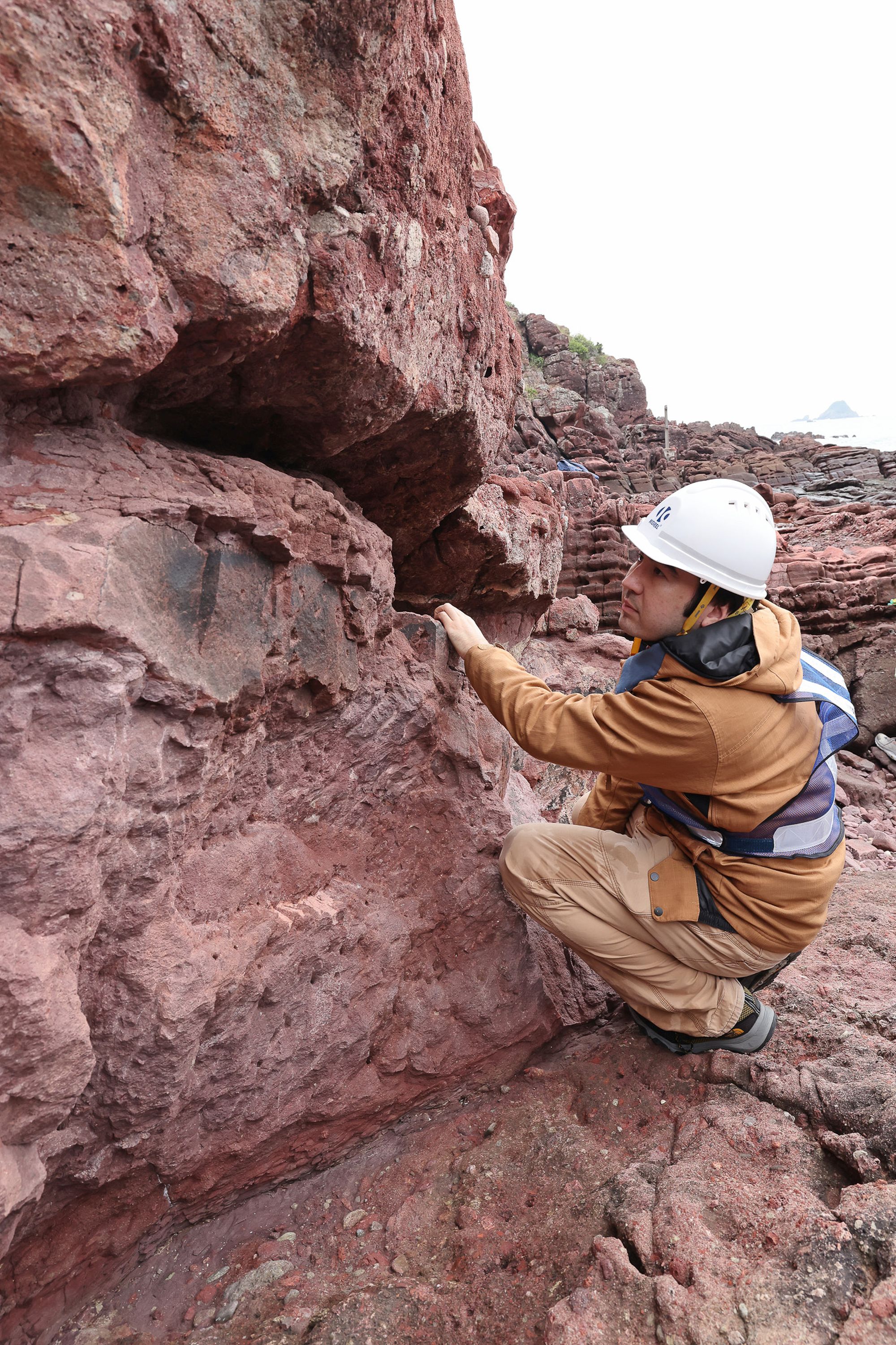 文嘉棋在确认恐龙化石发现地点再无化石外露。