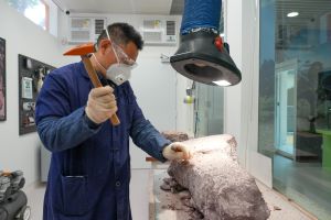 中国科学院古脊椎所化石修理技术员何思财表示，化石发掘后，必须小心将每件化石周边的岩石清除，露出化石，以便进行下一步的科学鉴定工作。