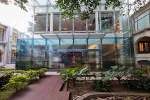 香港文物探知馆庭院玻璃幕墙上的白垩纪全景图