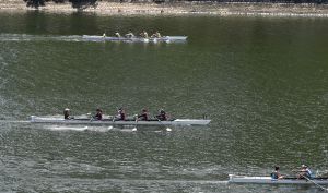 水务署联同中国香港赛艇协会于去年九月在赛马会沙田赛艇中心合办「东江供水60周年传承划」，吸引共18个工务部门、公共服务机构、工程顾问公司及大学超过250人参加。