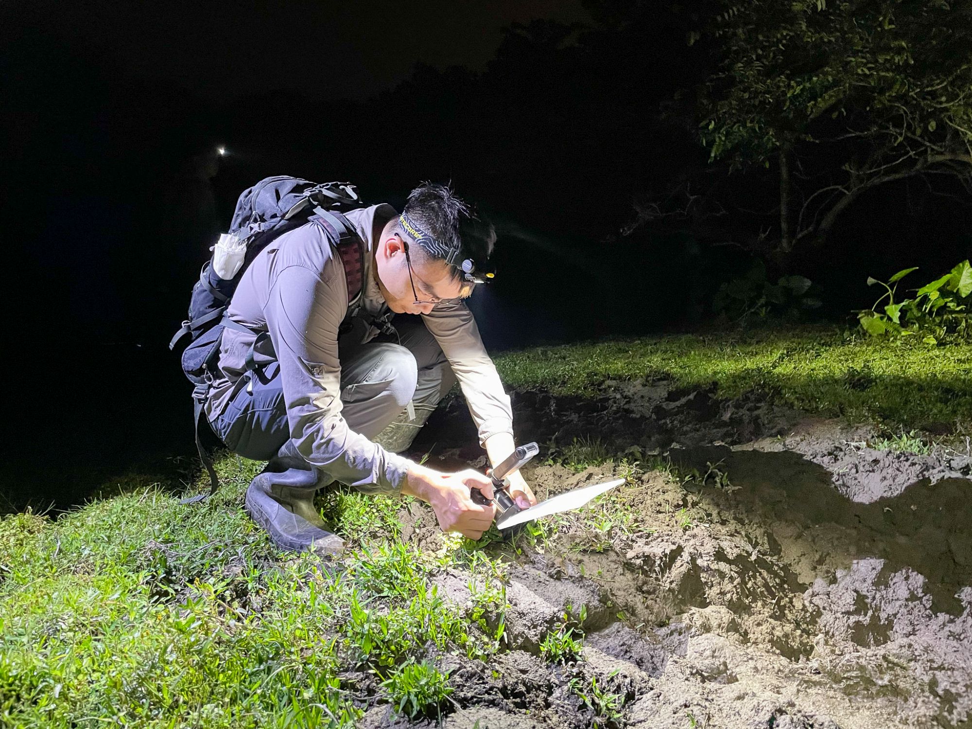 水口的生态系统已显著修复，并提供稳健基础让生态自然调节。