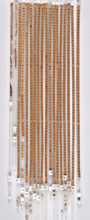 在甘肃武威磨嘴子出土的《仪礼》木简，书写工整。（甘肃省博物馆藏）