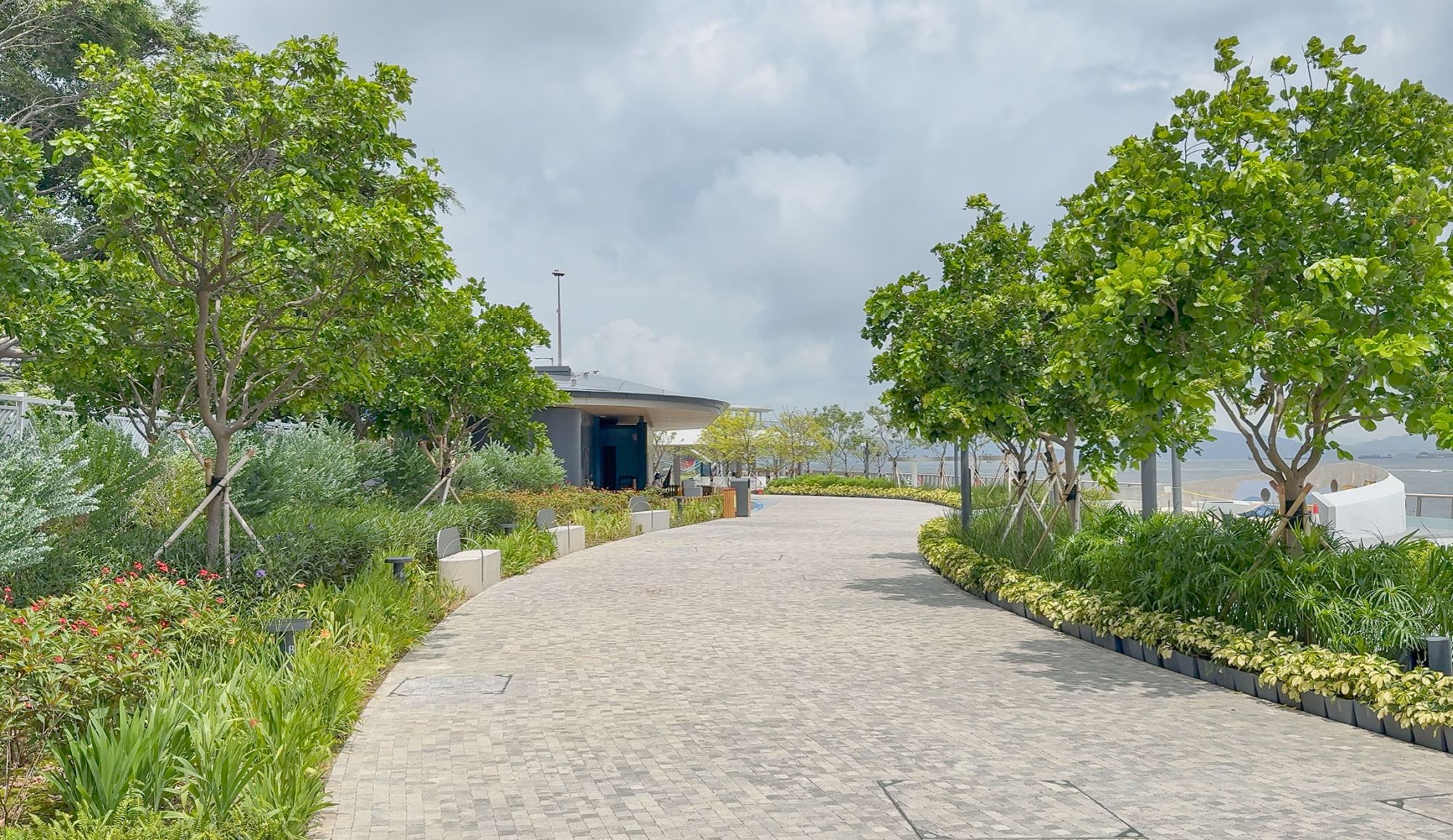 西营盘海滨公园以多种显花植物为特色，建筑署于园内栽种了紫花风铃木、树头菜、复羽叶栾树等超过140棵树木。