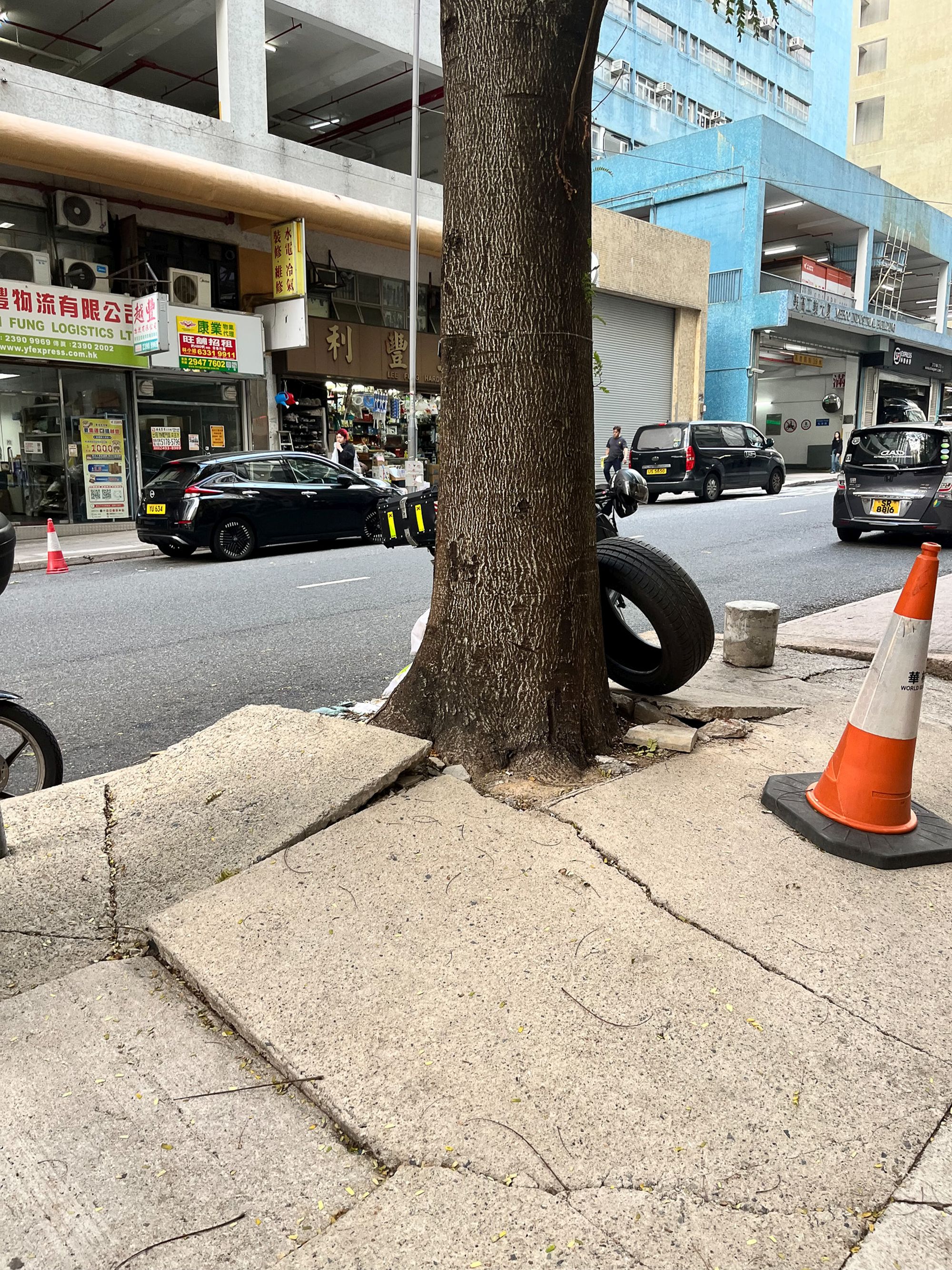 火炭坳背湾街的树穴空间狭小，树根向外伸展导致行人路面隆起，影响行人安全并增加倒塌风险。经团队评估后，认为受现场条件限制，最终决定移除部分树木，重新进行景观设计，改种更适合当区环境的树种，以平衡公众安全与绿化环境。