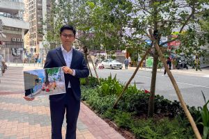 沙田区议员邓肇峰形容，经改善的行人道路，面貌与以往截然不同。他指出，改善前行人路旁有五棵大树，其树根导致行人路隆起；改善措施一方面重新种植合适树种，更重要的是重铺路面，令行人路更平坦。