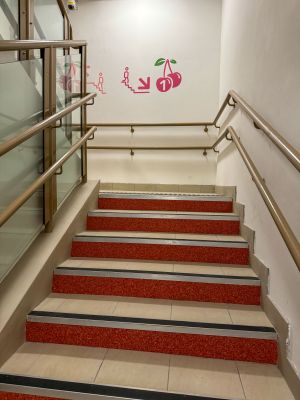 主要往来楼梯必须采用较低的竖板和较阔的踏板，并装设双层扶手。