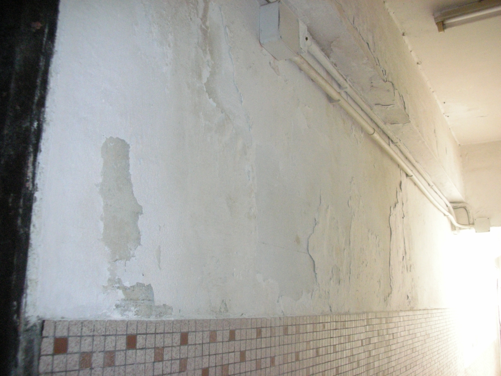 荃灣安康大廈經過「樓宇更新大行動」後，走廊掃上了新油漆。