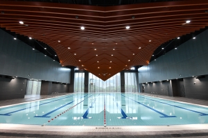 青衣西南游泳池的天花模仿了泳手蝶泳時的形態，這是區內首個室內暖水游泳池。