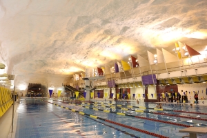 建造岩洞已經是一項成熟技術，在世界各地已有許多不同用途的岩洞項目，當中包括芬蘭的游泳館、法國的酒類儲存和挪威的體育館。