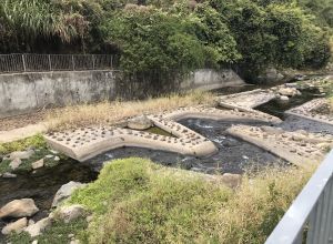 林村河上游河道改善工程引入活化水體元素，包括在河道中興建魚梯，讓河裡生物可以往返上下游流域。