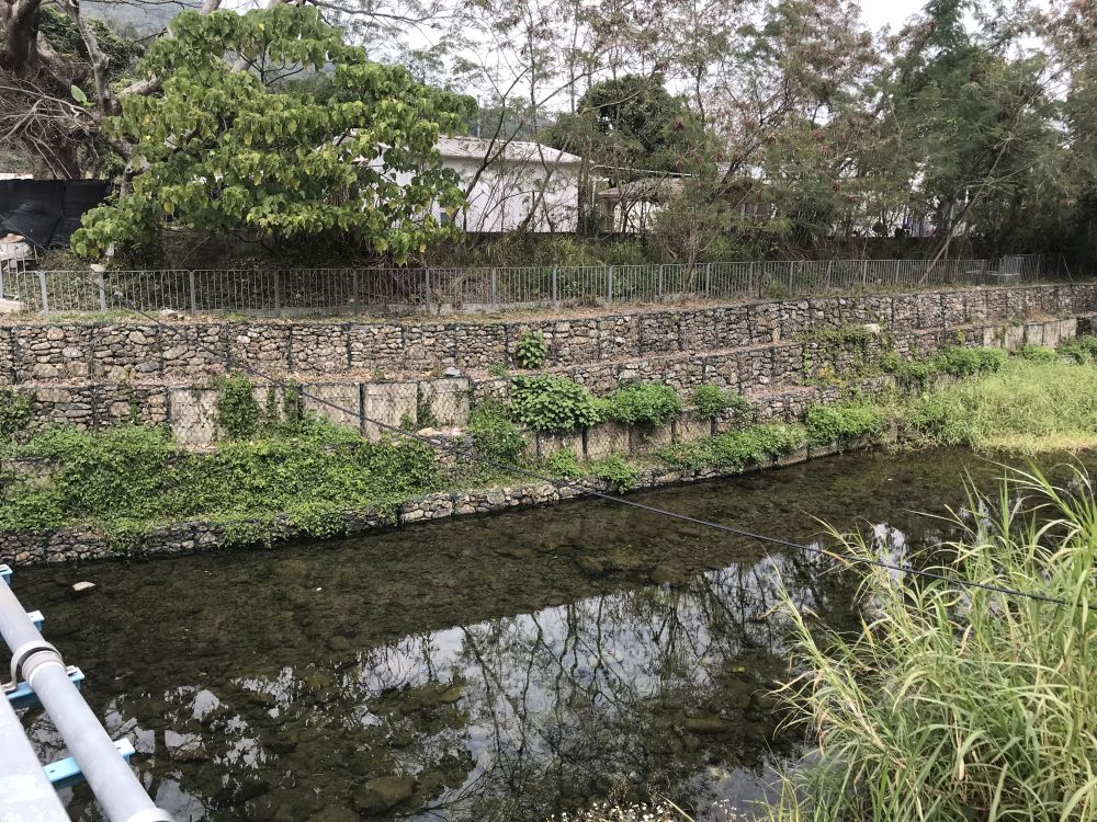 渠務署在河道旁以石籠取代鋼筋混凝土作為河堤，石籠間的罅隙有助植物生長，從而營造自然生態環境。
