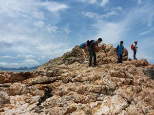 見習生在培訓期間有機會到鶴咀海岸保護區，進行岩石及地質調查。