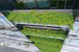 大樓外牆採納垂直綠化設計，由低層伸延到天台，連成一條「綠色絲帶」。