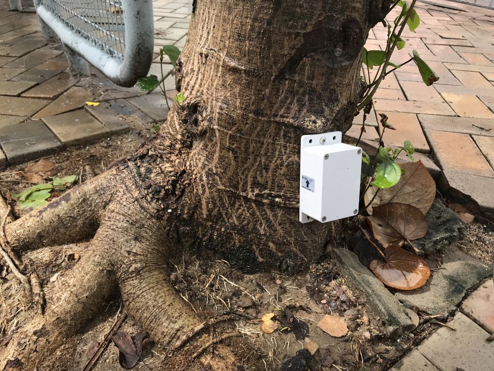 安裝在樹木底部的傳感器會量度樹木傾斜的角度及方向，繼而透過網絡傳輸，把數據傳送至大學數據中心進行大數據分析。當傳感器監測到樹幹底部的傾斜角度超過臨界點時，系統會立即向樹木管理部門的指定人員發送提示信號，以及時採取適當的風險緩減措施。 