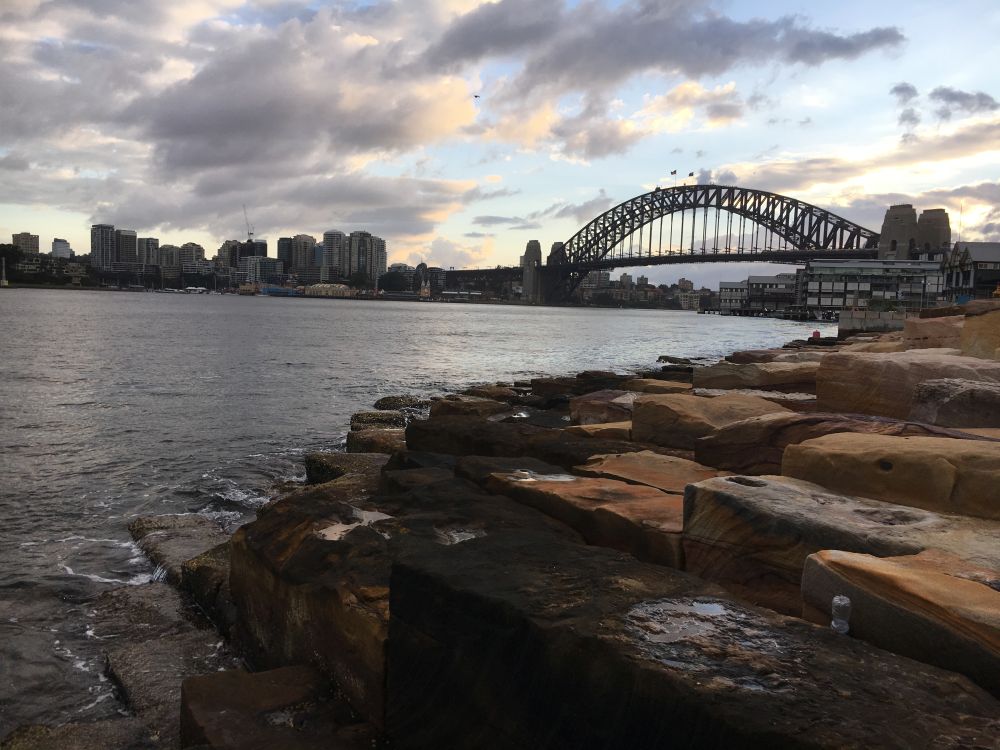 生態海岸線在海外也有應用，例如圖中澳洲悉尼市巴蘭加魯保護區的大型生態海堤。