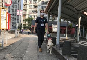 圖為導盲犬訓練員彭愷婷和正在接受領路訓練的導盲犬Diana。