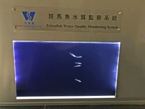 大埔濾水廠化驗室應用了由水務署研發的「生物感應預警系統」。這系統利用與人類基因極接近的斑馬魚（Zebrafish）作為水質監測伙伴。