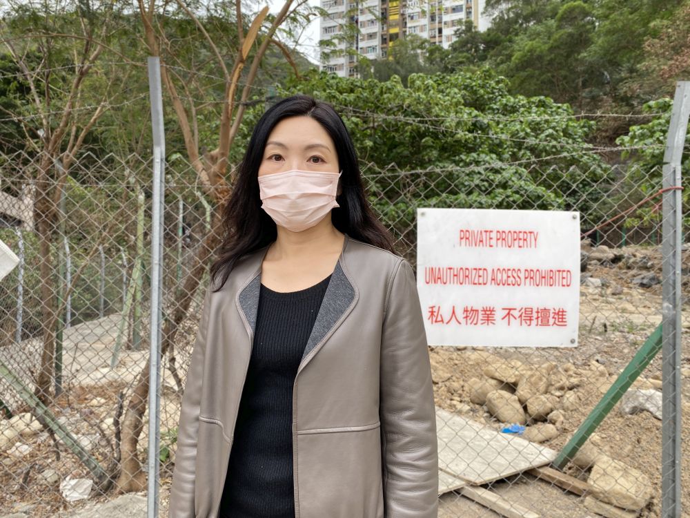 首席助理秘書長（規劃及地政）蔡雪蓉說，除了理順部門之間的安排，規劃署、地政總署和屋宇署亦各自精簡安排，以期更切合業界的需要。