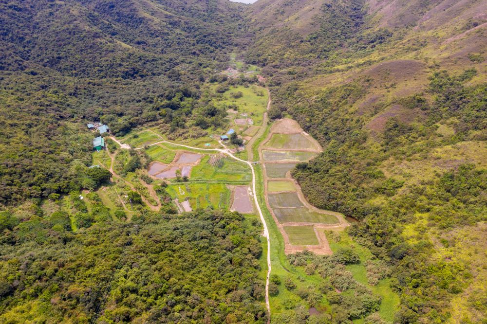 大嶼山擁有多種具生態價值的生境，如淡水沼澤、樹林等；生物多樣性亦豐富，如馬蹄蟹、盧氏小樹蛙、素雅灰蝶等。