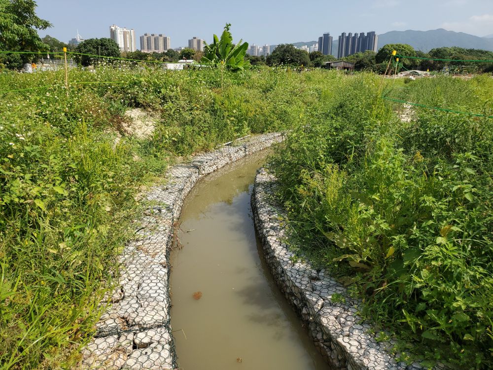 為配合未來塱原農地的灌溉需要，土拓署正在改善塱原的灌溉水道。