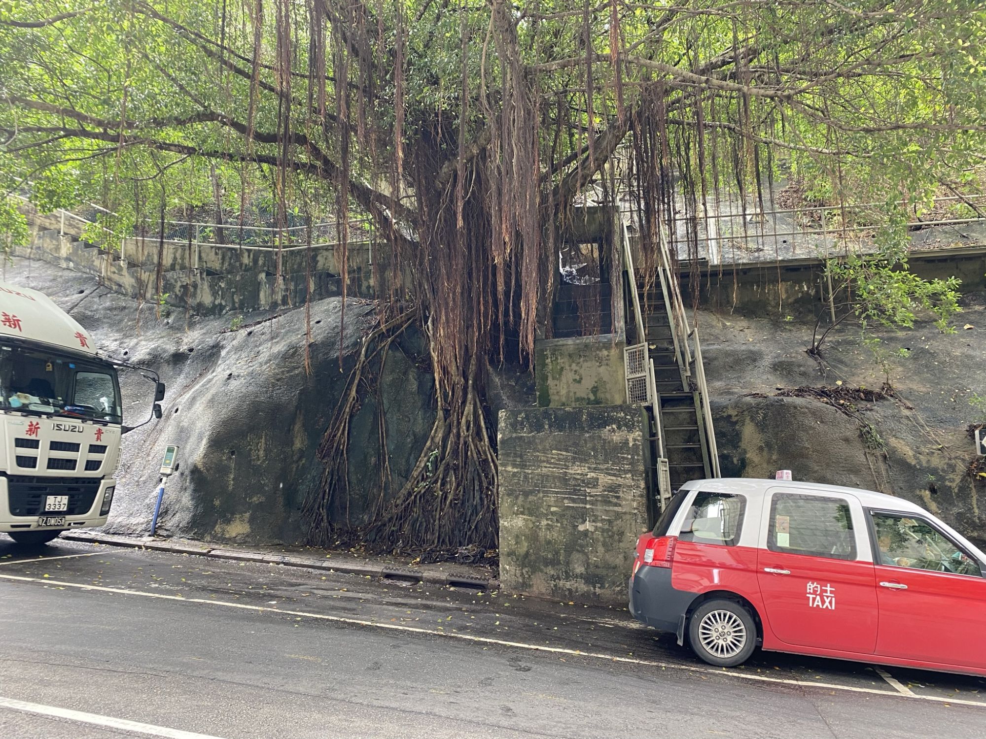 圖為前往香港仔郊野公園的斜坡維修通道，將擴寬為山徑。