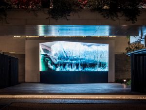 另一個為慶祝香港特區成立25周年而設的立體數碼藝術展覽「新域混影」，呈現翻騰巨浪和藍鯨暢泳。