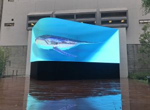 另一個為慶祝香港特區成立25周年而設的立體數碼藝術展覽「新域混影」，呈現翻騰巨浪和藍鯨暢泳。