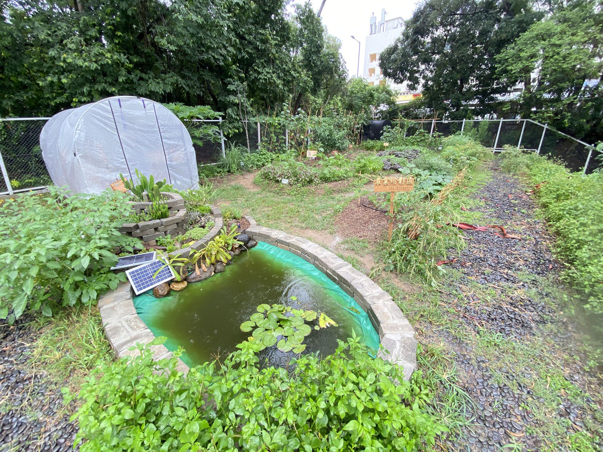 醫局戶外的地方設有中藥園圃、有機菜田、稻米田等。