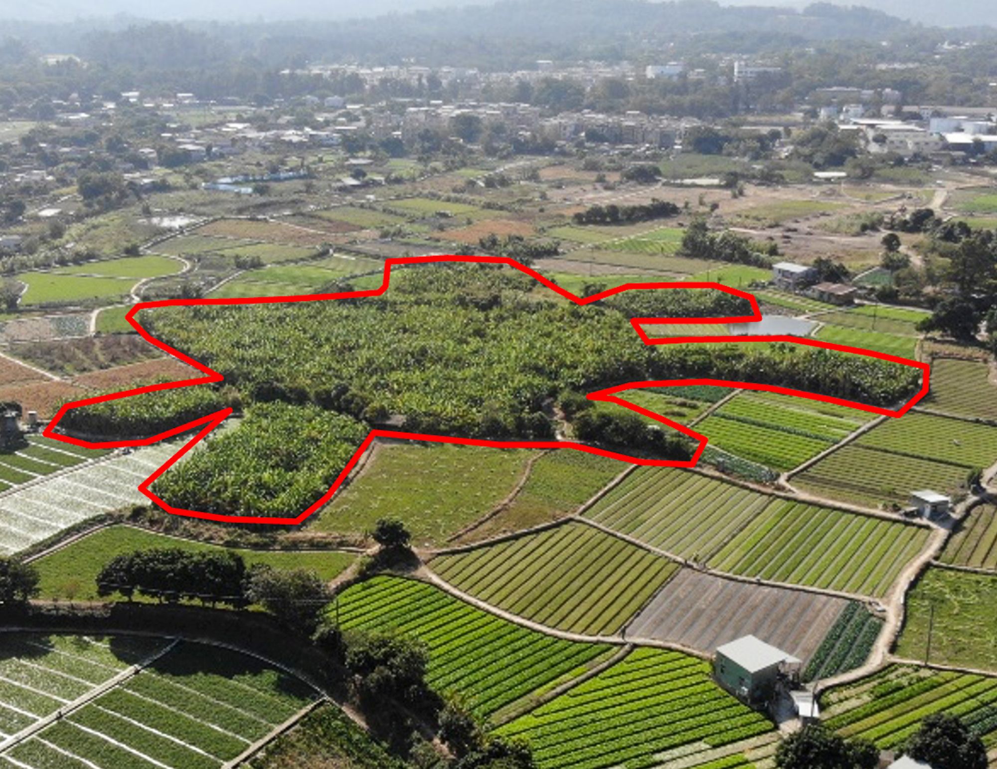 土拓署將部分旱田、荒廢的農田或生態價值相對低的農地復修為不同的濕地生境，包括淺水池、水滋田、稻米田、沼澤。圖為復修前的濕地。 