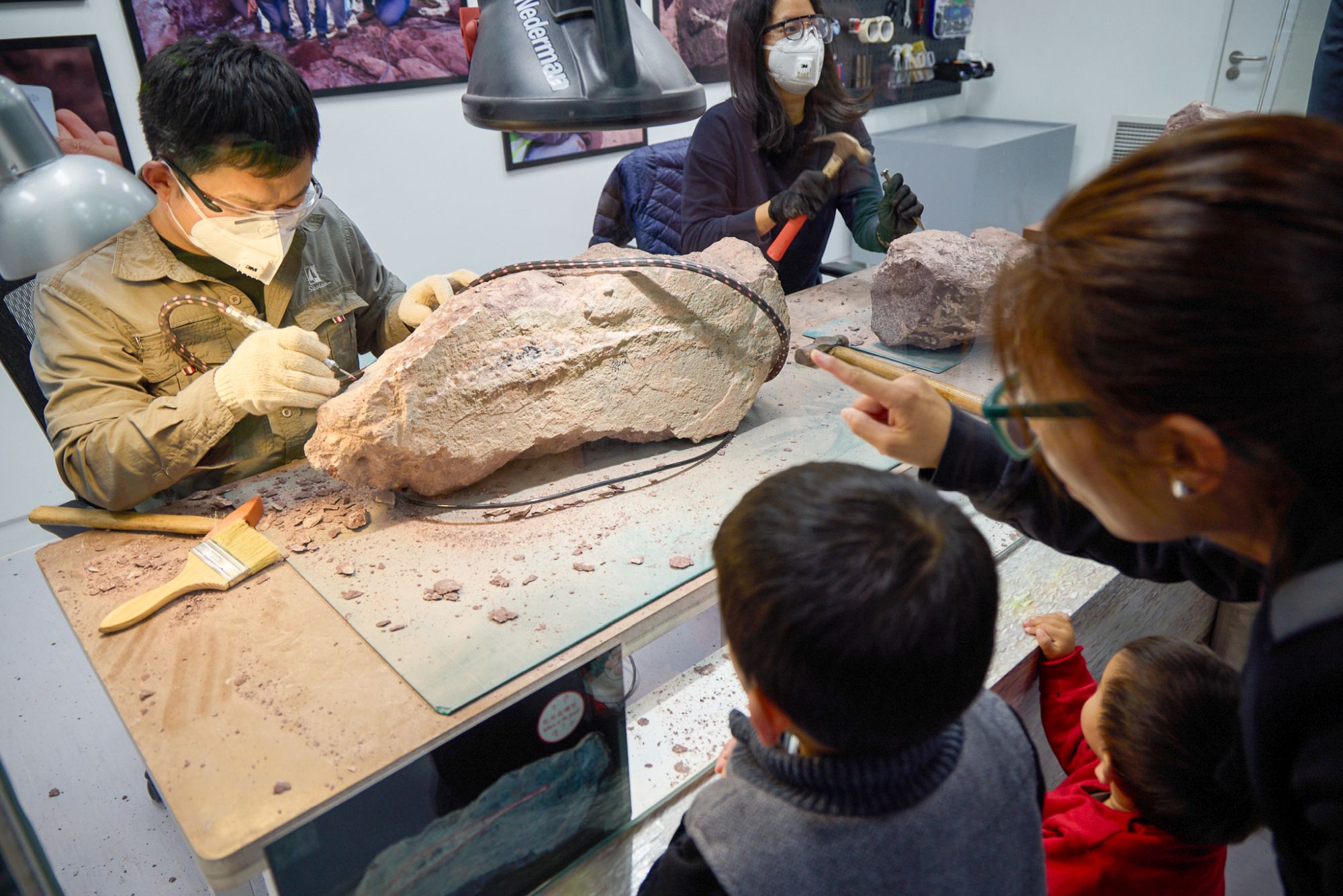 公眾可在「恐龍會客室」近距離觀看古脊椎所專家和工作人員清修恐龍化石。