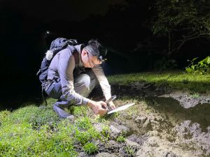 水口的生態系統已顯著修復，並提供穩健基礎讓生態自然調節。