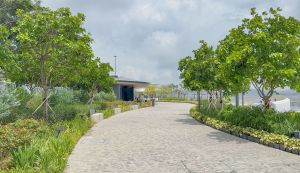 西營盤海濱公園以多種顯花植物為特色，建築署於園內栽種了紫花風鈴木、樹頭菜、複羽葉欒樹等超過140棵樹木。