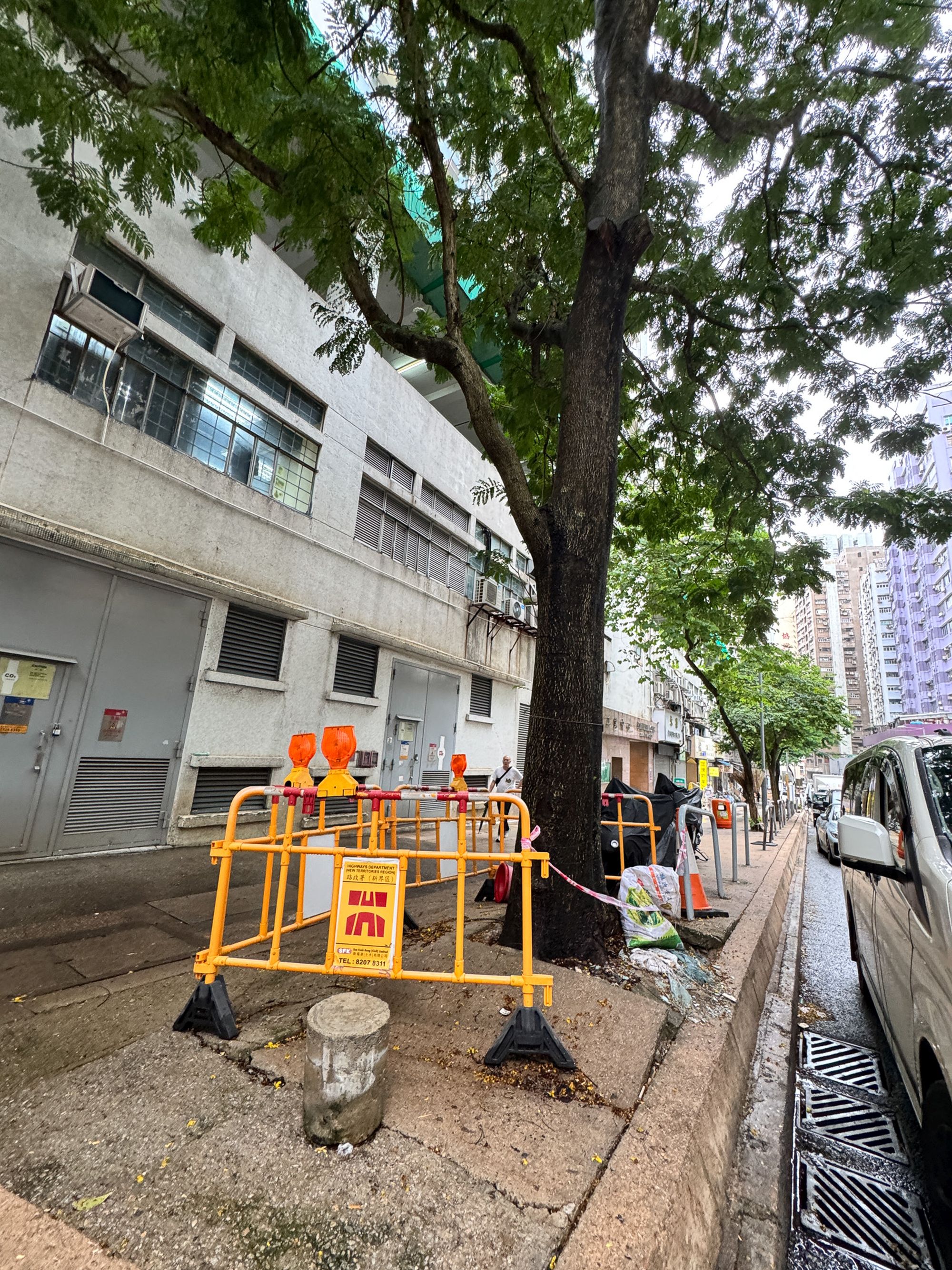 火炭坳背灣街的樹穴空間狹小，樹根向外伸展導致行人路面隆起，影響行人安全並增加倒塌風險。經團隊評估後，認為受現場條件限制，最終決定移除部分樹木，重新進行景觀設計，改種更適合當區環境的樹種，以平衡公眾安全與綠化環境。
