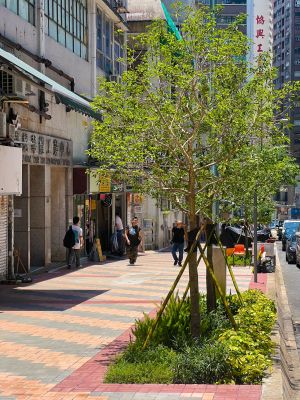 相關改善工程順利完成，當中包括重鋪行人路、加建花槽、連貫綠化帶以整合種植區域，以及重新種植本地原生樹木和開花灌木。這不僅有助樹木長遠健康生長，提升當區景觀與空間質素，路旁的新種樹木更可美化街道，為行人遮蔭，改善微氣候及空氣質素。