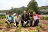 Mr Chan plants seedlings with students. 