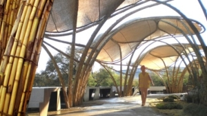 建议扩展连接金紫荆广场及新湾仔码头的接驳通道。