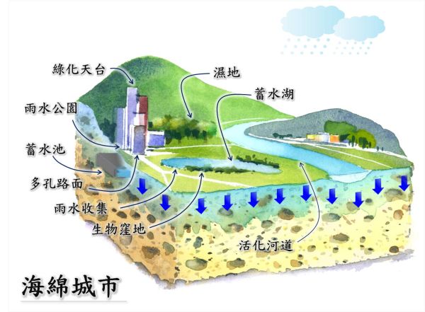渠務署近年一直參照「海綿城巿」的理念，利用綠化天台、透水路面等，促進雨水滲透，協助管理雨水排放。
