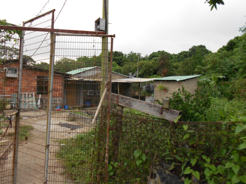 發展區內現有不少寮屋。